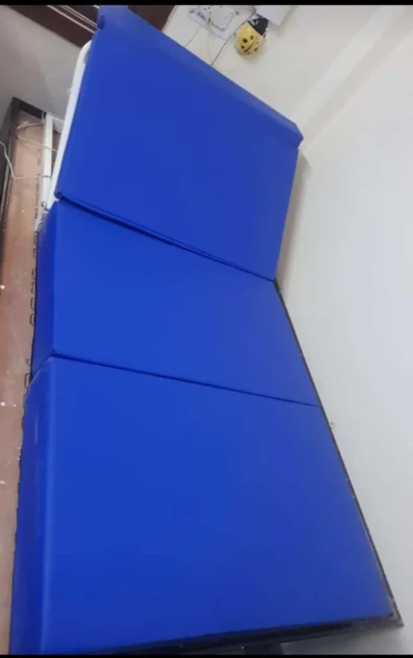 Hospital Recliner Bed